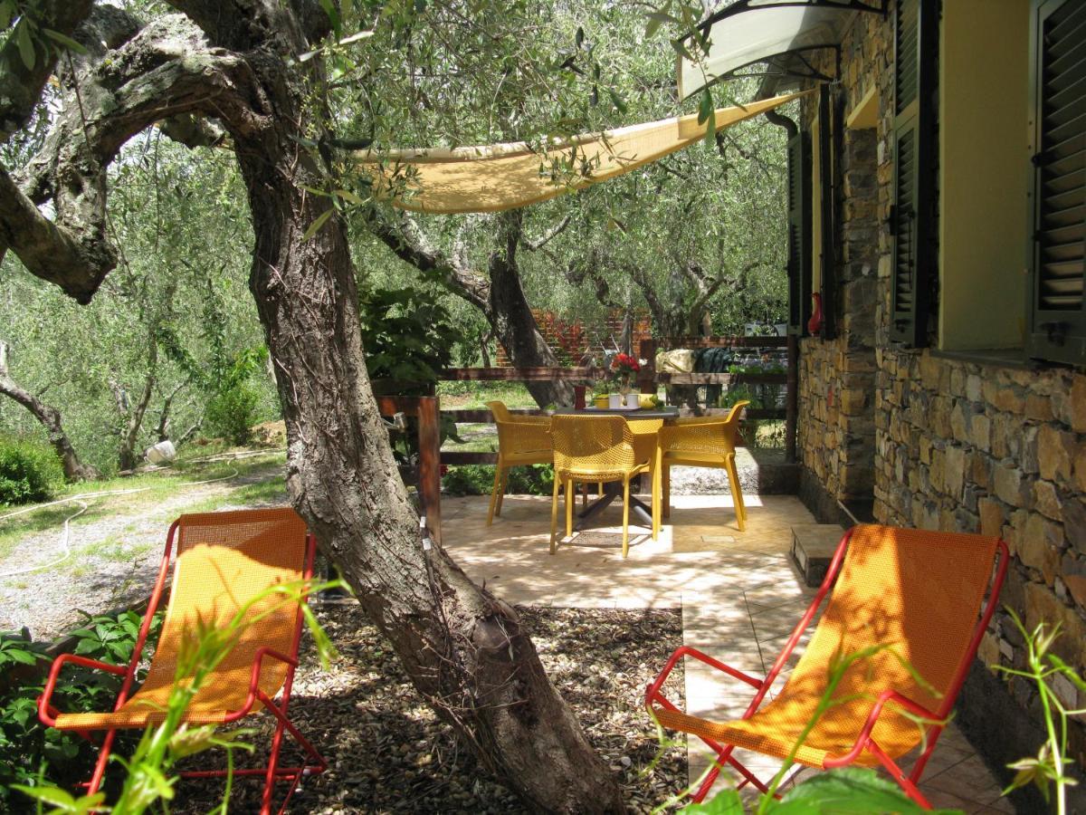 Agriturismo La Vigna Chiusanico Zewnętrze zdjęcie