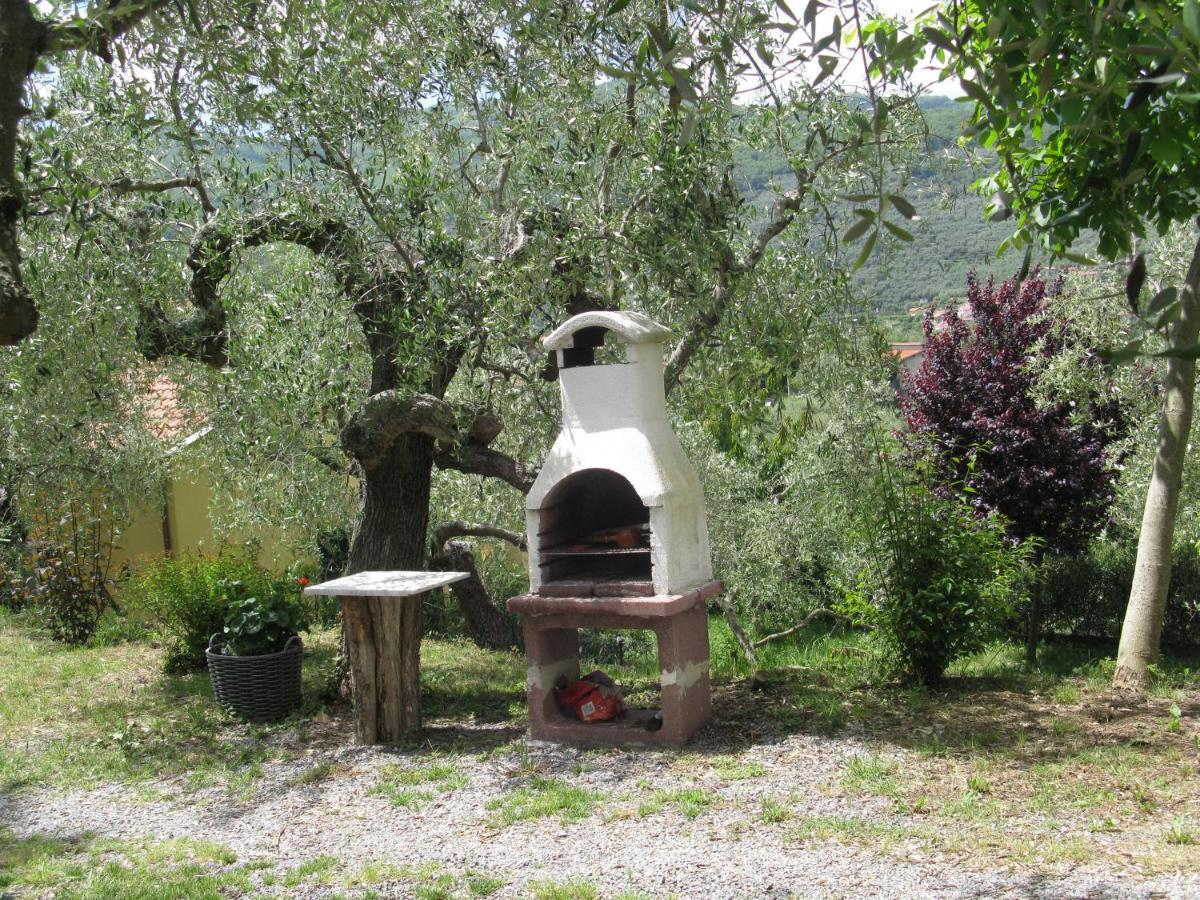 Agriturismo La Vigna Chiusanico Zewnętrze zdjęcie