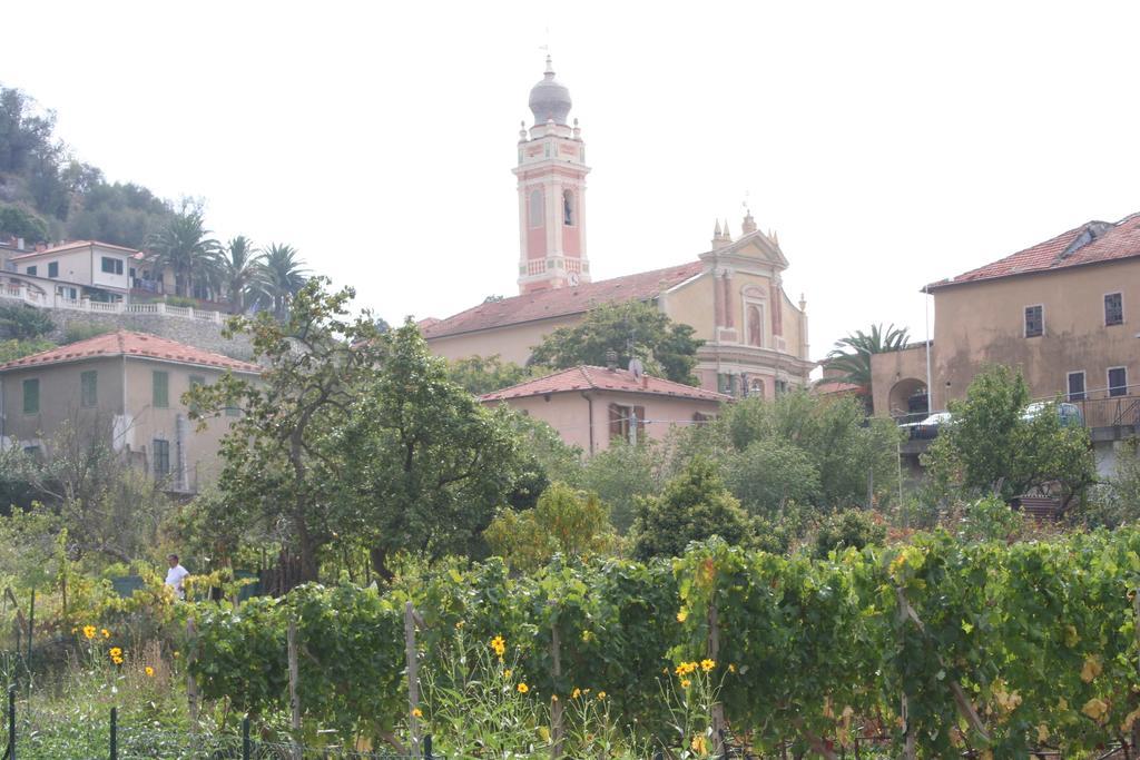 Agriturismo La Vigna Chiusanico Zewnętrze zdjęcie
