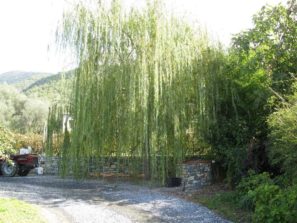 Agriturismo La Vigna Chiusanico Zewnętrze zdjęcie