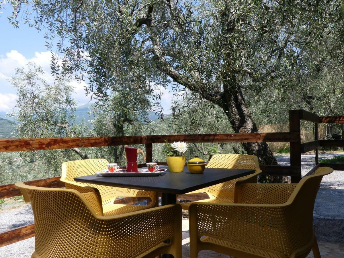 Agriturismo La Vigna Chiusanico Zewnętrze zdjęcie